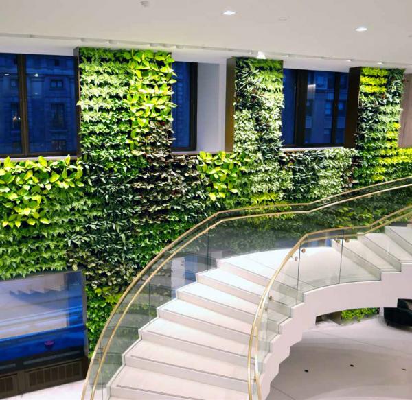 gruene Wand aus pflanzen